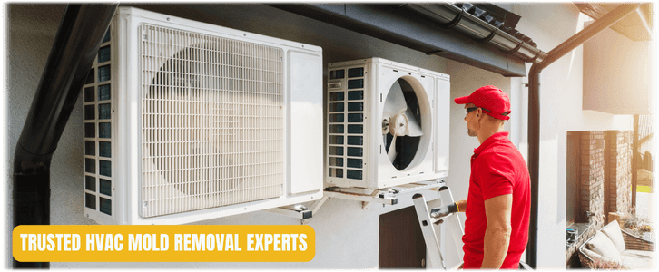 HVAC Mold Removal Frisco